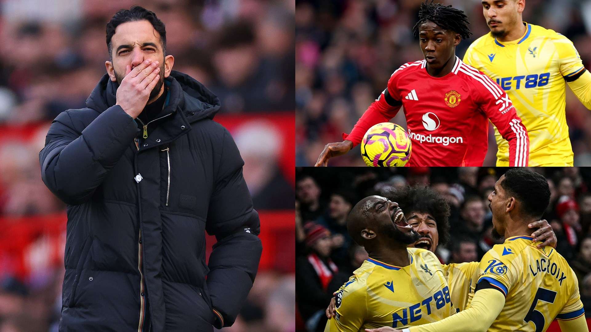 织中发挥了 织中发挥了