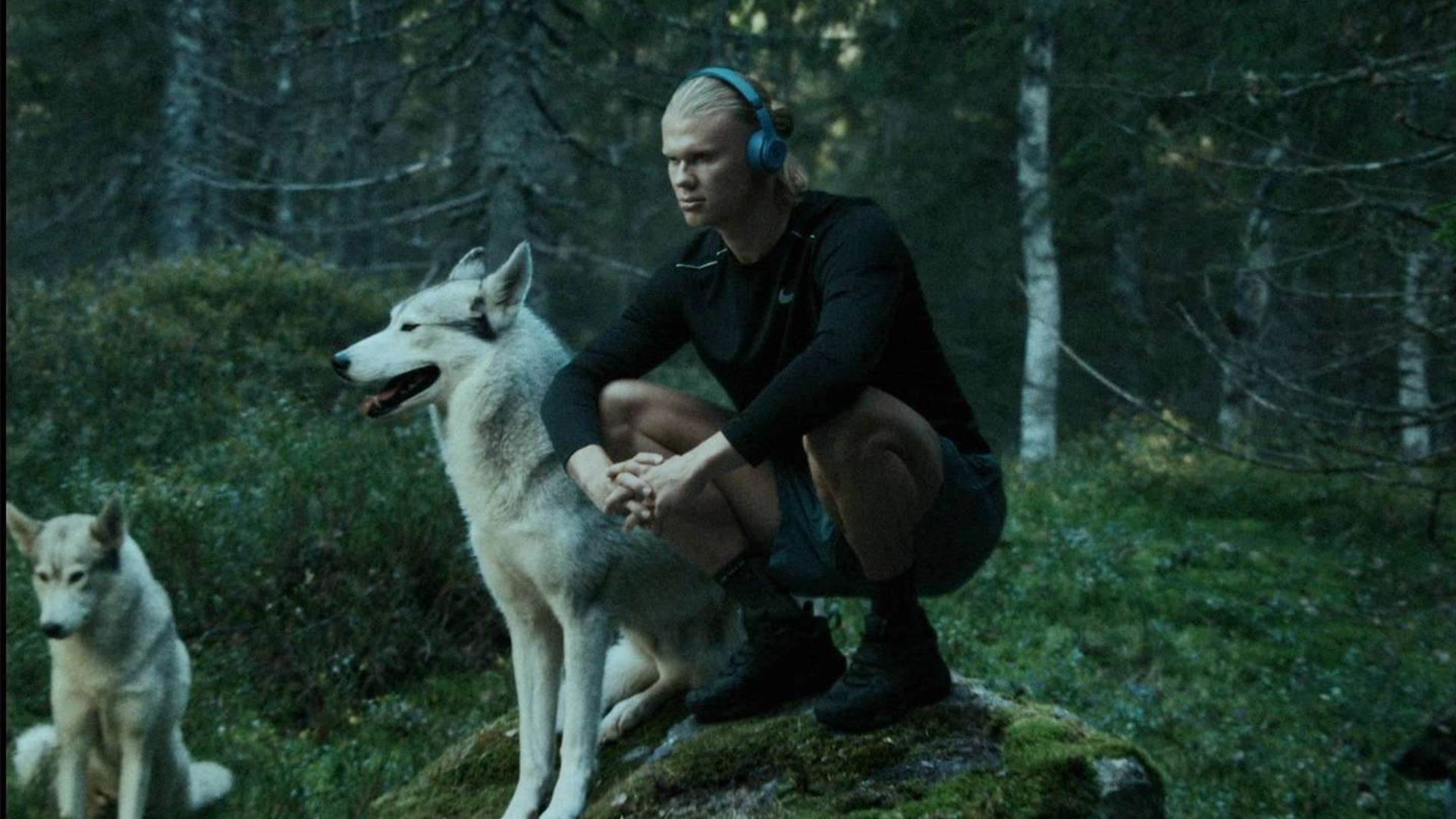 李某某出自 李某某出自